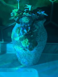 -娇玫荟SPA