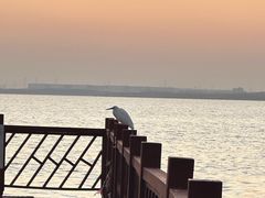 -昆承湖酒家·本帮农家菜