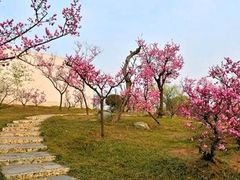 -石家庄市植物园