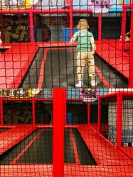 -爱丽丝奇幻乐园