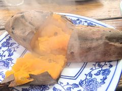 -小小饭店·休闲农庄·安吉松树林里的农家菜