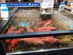 -盒马鲜生(皇庭广场店)