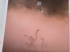 -好利来(欧亚商都店)