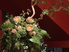 -解家河南菜(商鼎路店)