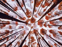 -山王坪喀斯特国家生态公园