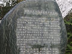 -三门江国家森林公园