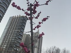 -渭滨公园