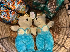 -星巴克(北京惠新东街店)