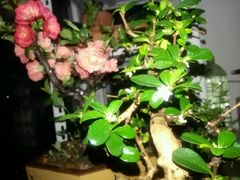 -活鱼馆(宜兴埠店)