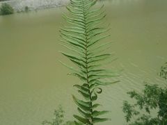 -汉中石门栈道景区