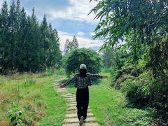 -桤木河湿地公园