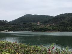 -水濂山森林公园