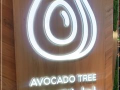-油梨树AVOCADO TREE(嘉里中心店)
