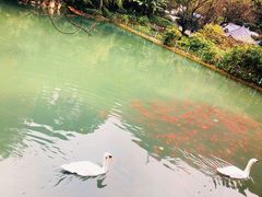 -黔灵山公园