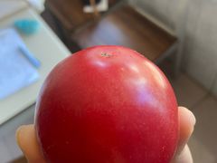 -南坛综合农贸市场