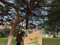 -徽园