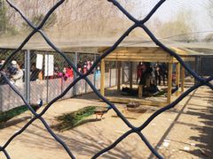 -长白岛森林公园