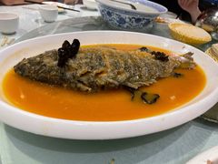 黄河大鲤鱼-郑州烤鸭总店