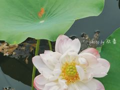 -厦门园林博览苑