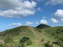 -大姆山草场