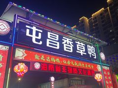 -盐禾堂海南屯昌香草鸭(总店)