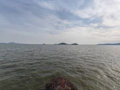 -上海市保健医疗中心