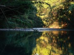 -武夷山风景名胜区-玉女峰