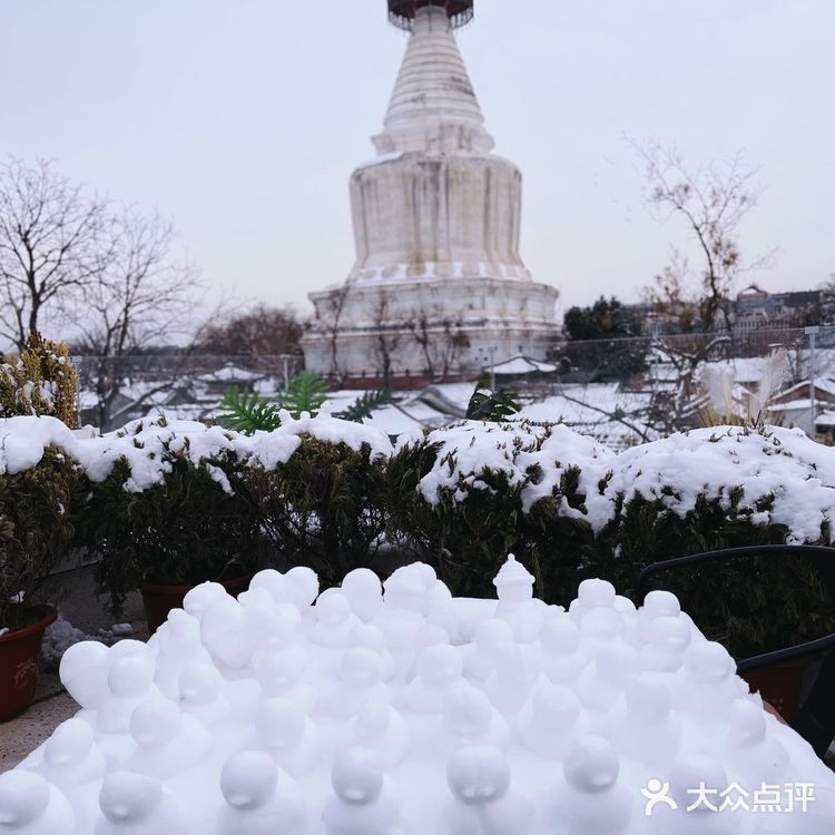 白塔寺绝佳取景位的宝藏咖啡馆太美啦