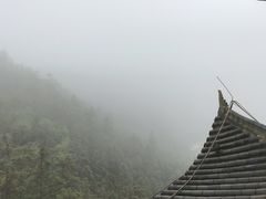 -酒仙湖景区