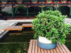 -北京第二实验小学