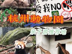 -杭州动物园