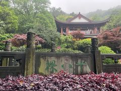 -十八棵（老龙井）御茶园(老龙井店)