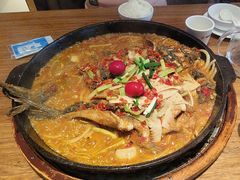 -老板恋上鱼(恒隆广场店)