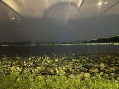 -湖畔居茶楼(湖滨店)