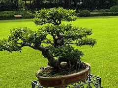 -申粤轩酒楼·三十年粤菜经典(丁香花园店)