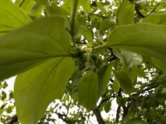 -天鹅湖体育公园