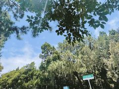 -八大关景区