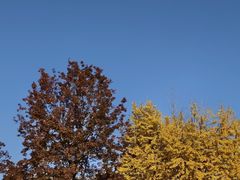 -浙江大学(紫金港校区)