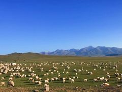 -新疆那拉提国家旅游度假区