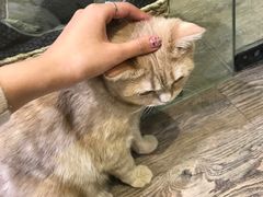 -小时光咖啡馆(开森度假森林店)