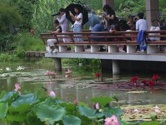 -国家植物园南园