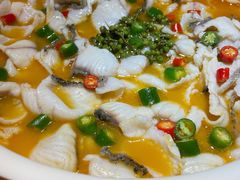 招牌青花椒-青花椒花椒鱼(新百店)