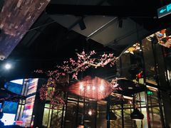 -老板恋上鱼(高新万达店)