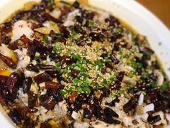 -三猫黑鱼花(南大店)