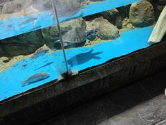 -苏州海洋馆
