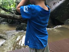 -七仙岭温泉国家森林公园