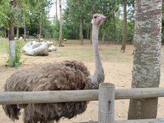 -大连森林动物园