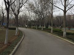 -张店儿童公园