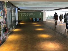 -香港大学