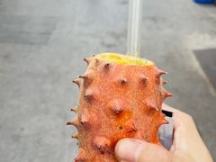 -上海交通大学闵行校区-包玉刚图书馆